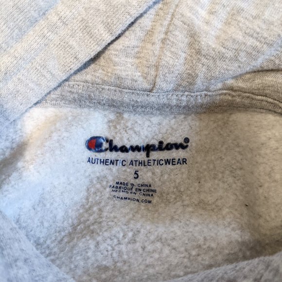 Champion Logo Grey Hoodie Jacket Kids 5 - Picture 6 of 8